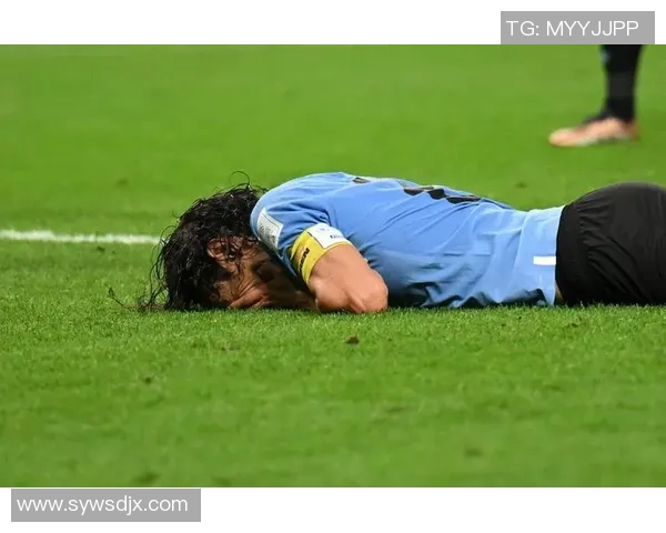 恶狗足球明星背后的传奇故事与成就揭秘